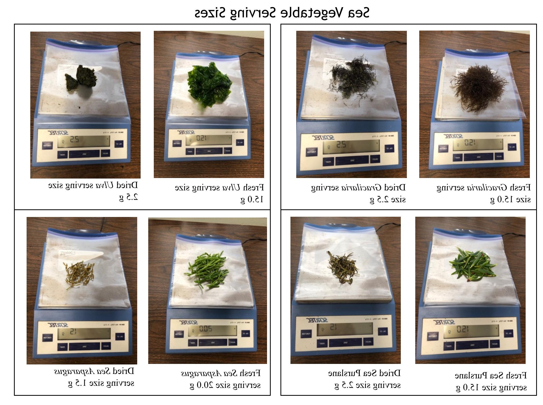 Sea Vegetables Serving Sizes